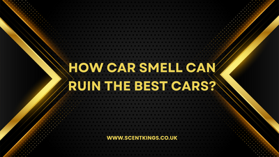 How Car Smell Can Ruin the Best Cars?